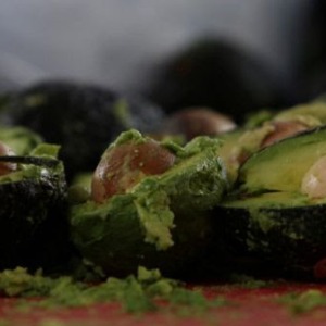 Les producteurs de café africains à Pivotante Avocados