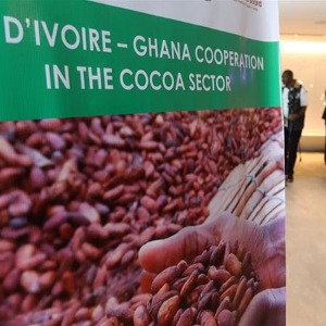 Top des producteurs de cacao du monde Coordinate 2020-2021 Fèves de cacao prix