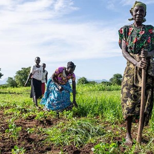 Le succès d'une communauté sud-soudanaise dans la lutte contre la malnutrition