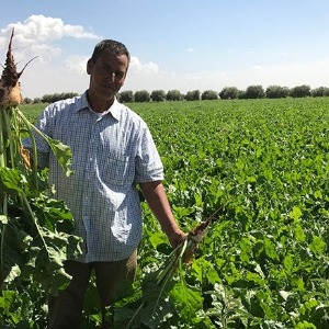 Un projet marocain encourage les jeunes à se lancer dans l'agriculture
