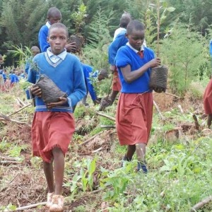 Les jeunes Africains se battent pour sauver l'environnement