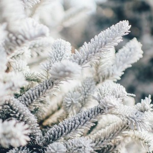 Maghreb : Plusieurs régions d’Algérie recouvertes de neige - images