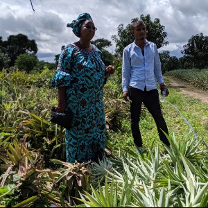 Guinée : COMMENT L'HUMBLE ANANAS FREINE L'IMMIGRATION GUINÉENNE EN EUROPE