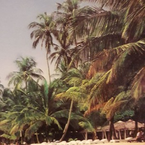 A LIBREVILLE GABON : LA BELLE AVENTURE DE NATACHA ET PASCAL...