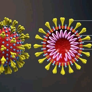 FRANCE : Coronavirus  la France est désormais au stade 3 de l’épidémie