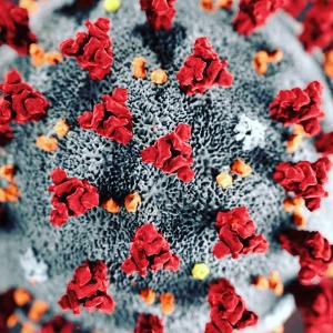 AFRIQUE : Coronavirus le nombre de cas en Afrique devrait augmenter