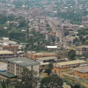 CAMEROUN : les milieux d’affaires déjà impactés par le Covid-19