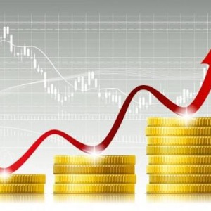 CAMEROUN :  la dette a augmenté de 67,2% en cinq ans (gouvernement)