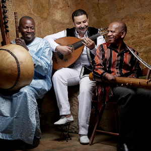 AFRIQUE : 3 musiciens, 51 cordes: 3MA sur la redéfinition des traditions musicales africaines