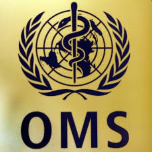 Origine de la pandémie : l’OMS commente les théories d'une manipulation en laboratoire