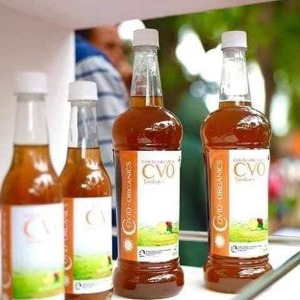 AFRIQUE : Le Sénégal commande du «Covid-Organics» malgache (président)