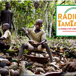 AFRIQUE : Travail des enfants pour les entreprises de chocolat  et des producteurs de cacao de l'Afrique pour 1 € par mois