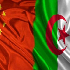 SOCIÉTÉ  : Arabe, chinois, Tamazight, français: la guerre des langues!