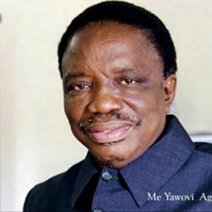 AFRIQUE Togo : un autre baobab tombe !