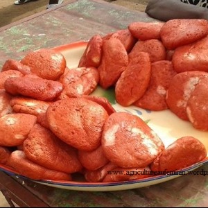 ECONOMIE Parakou : le fromage soja défie la viande et le poisson, même le «Wanrangachi» n’est plus en territoire conquis