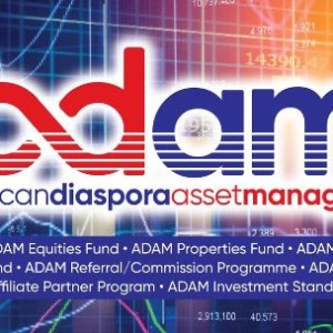 AFRIQUE 2050 : Le Kenya dévoile le premier fonds d'investissement de la diaspora