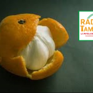 AFRIQUE 2050 : GABON  Les faux opposants gabonais reprochent aux autres leurs propres égarements