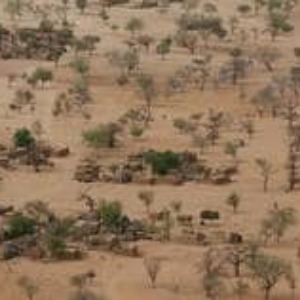 AFRIQUE2050 : La Grande muraille verte au Sahel, le défi humain le plus ambitieux de la planète
