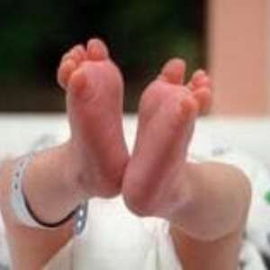 Actu Europe : Démographie  Le krach du baby boom