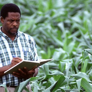 AFRIQUE2050 : Comment protéger le complexe agro-industriel africain, un secteur stratégique pour le Continent Africain