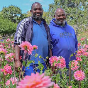 AFRIQUE2050 La ferme florale de Jaftha au Cap : une histoire douloureuse, un avenir radieux