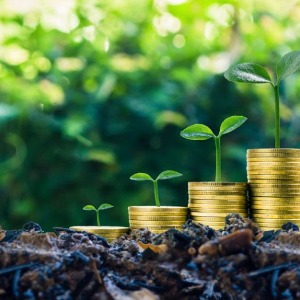 AFRIQUE2050 : Soutenir la croissance des obligations vertes africaines