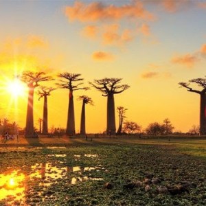 Voici le top 10 des pays africains les plus pacifiques