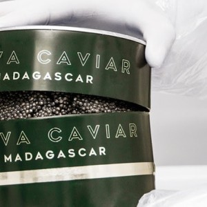 MADAGASCAR : Le premier producteur de caviar de Madagascar transforme l'industrie alimentaire de luxe