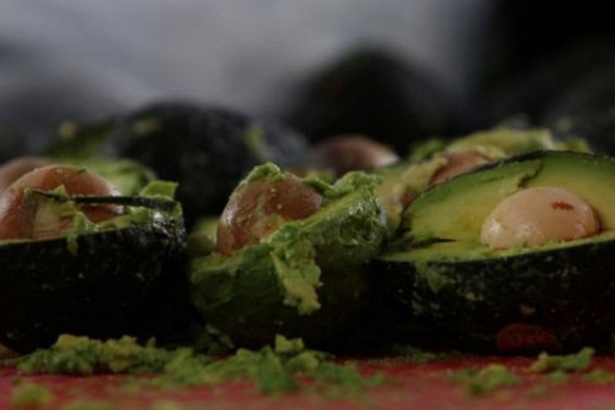 Les producteurs de café africains à Pivotante Avocados