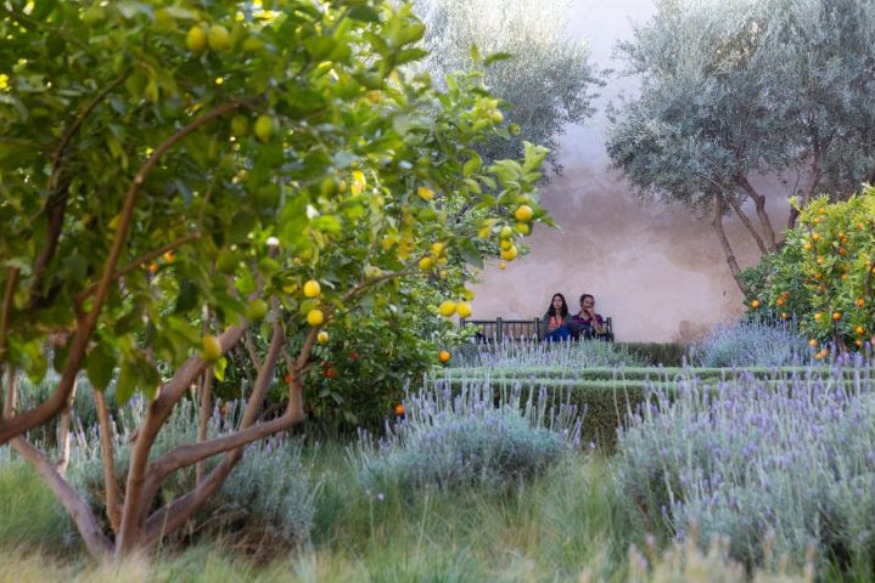 Conseils de personnes qui ont visité au Maroc