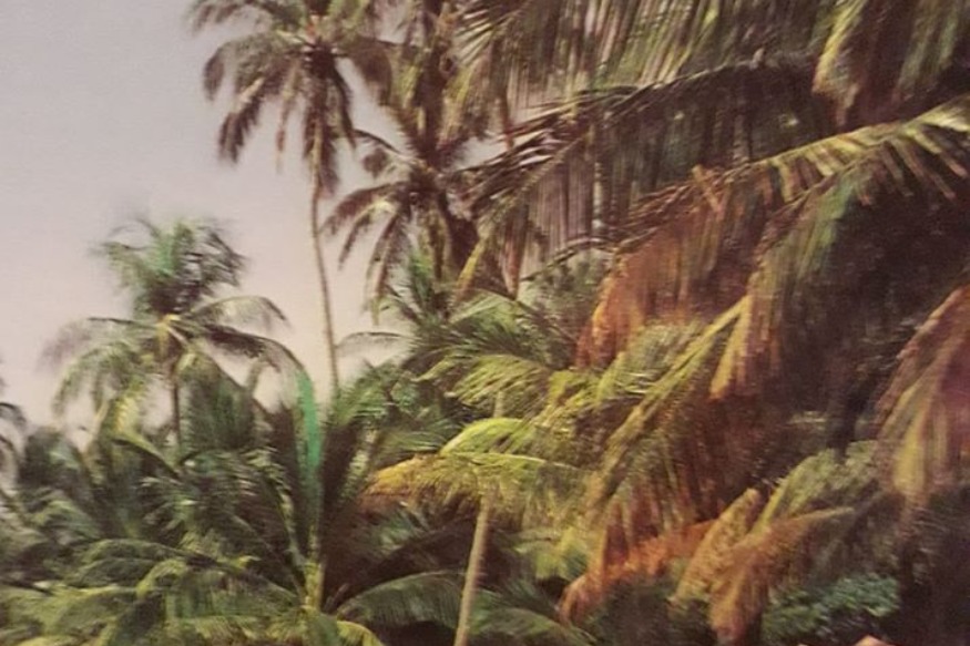 A LIBREVILLE GABON : LA BELLE AVENTURE DE NATACHA ET PASCAL...