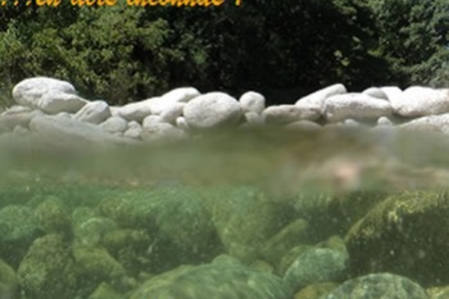 MUSIQUE : Des Astres  pas tant que ça, loin s’en faut !