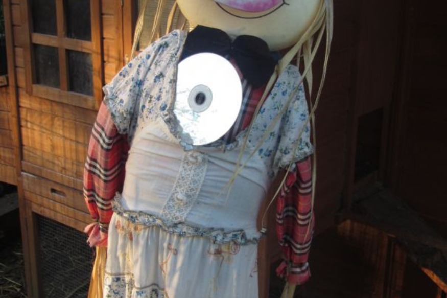 MUSIQUE : Chanson "Mélodie Contagieuse