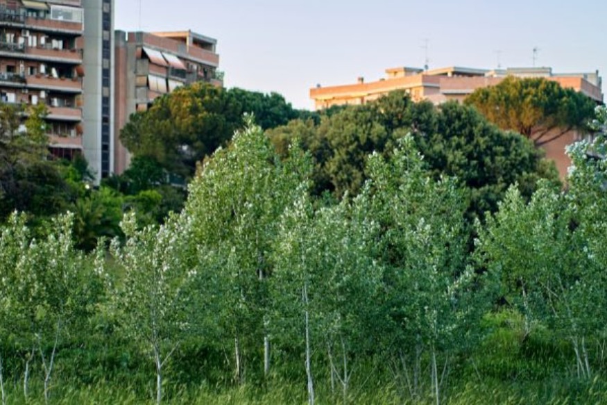 AFRIQUE 2050  : La construction d'espaces verts fait partie du développement immobilier de Dakar