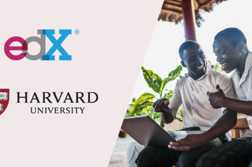 AFRIQUE2050 : Un cours en ligne à Harvard a été créé pour les entrepreneurs africains en herbe