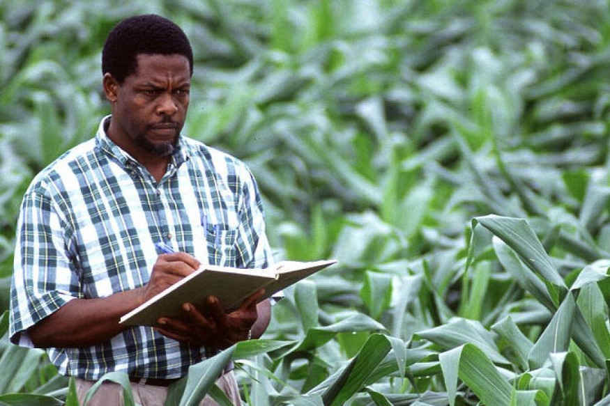 AFRIQUE2050 : Comment protéger le complexe agro-industriel africain, un secteur stratégique pour le Continent Africain