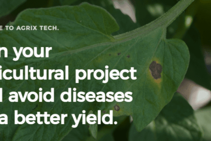 AFRIQUE2050 :  Agrix Tech du Cameroun utilise l’IA pour aider les agriculteurs à prévenir les maladies des cultures