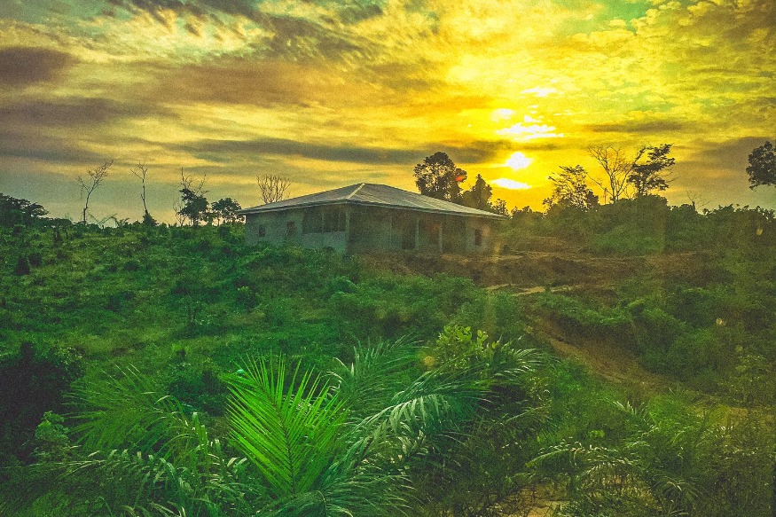 ENVIRONNEMENT Océans en danger : Immensité protectrice et source de vie