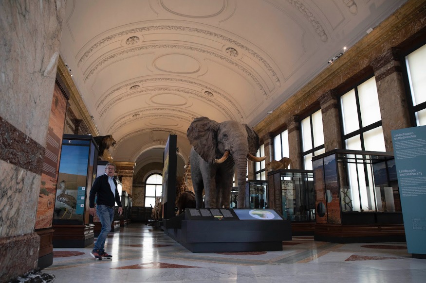 AFRIQUE2050 : La Belgique est prête à restituer les objets volés aux Congolais