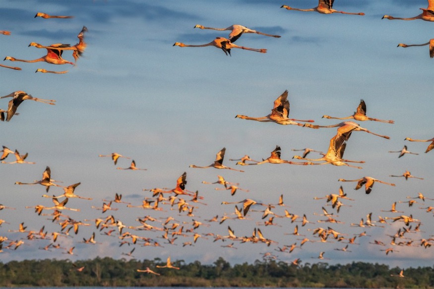ACTUALITE/ECOLOGIE « Il faut inverser la tendance avant 2025 » Selon le rapport du Giec sur le réchauffement climatique