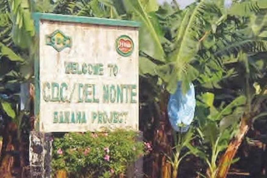 Le deuxième plus grand employeur du Cameroun demande aux ex-travailleurs de revenir