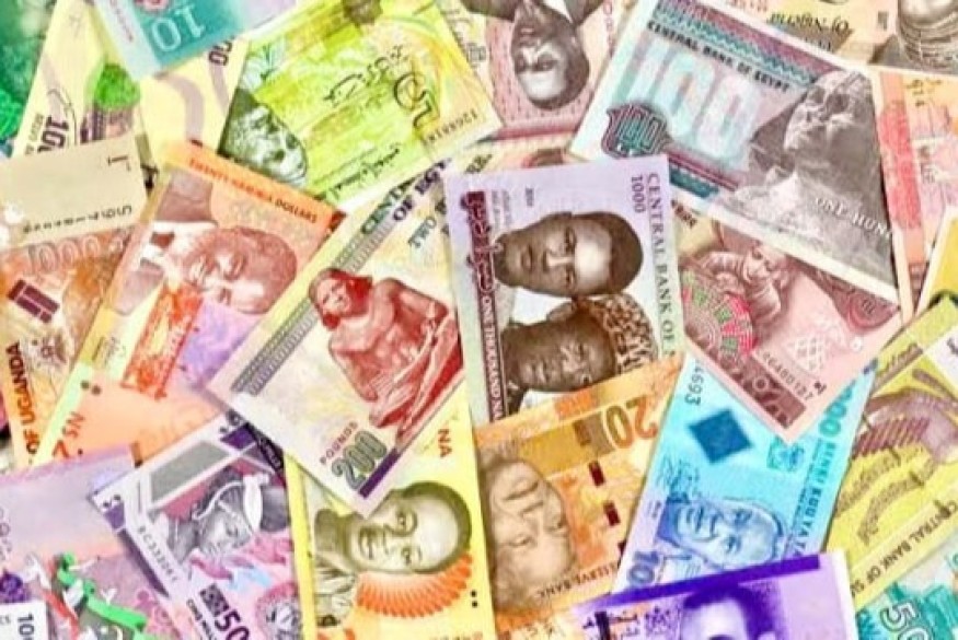 Les pays africains utilisent diverses stratégies pour protéger leur monnaie