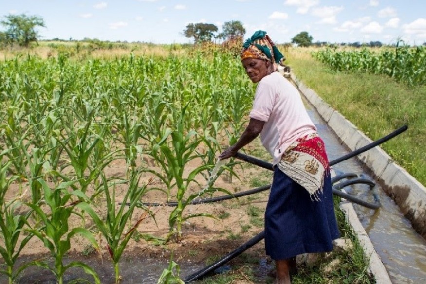 Le Nigeria collabore avec la Banque mondiale sur un projet d'hydroélectricité et d'irrigation d'une valeur de 500 millions de dollars.