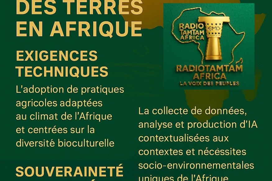 Comment bâtir une stratégie de gestion durable des terres en Afrique à l’ère de l’intelligence artificielle
