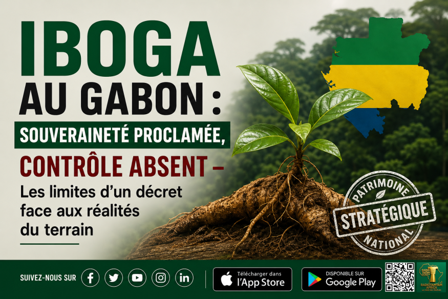 Iboga au Gabon : souveraineté ou illusion réglementaire ?